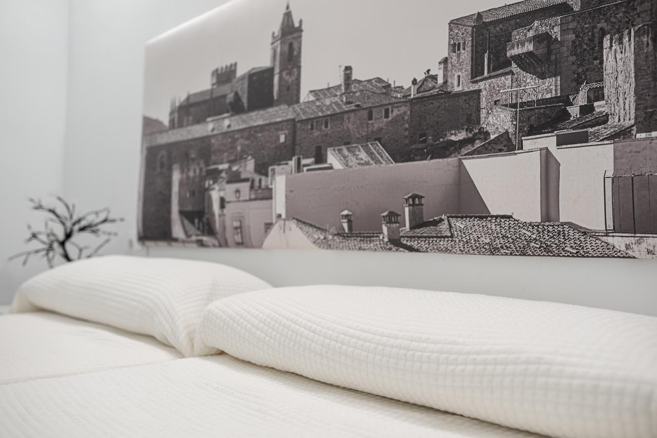 Apartamentos Turisticos Domus Seleqtia Plaza Mayor Caces Kültér fotó